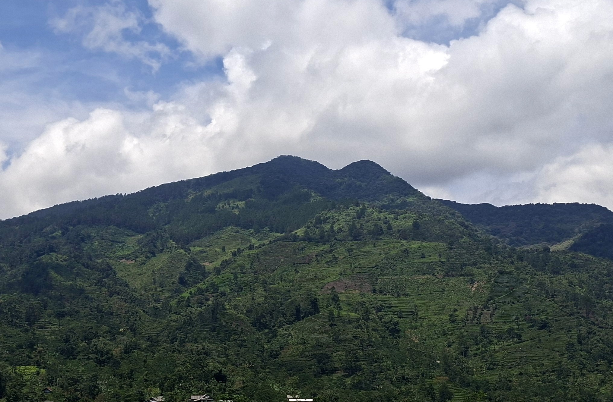 Bukit Anjir